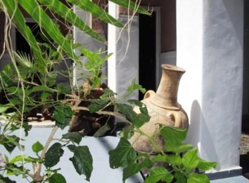 Bed and Breakfast Dar Dubai Marrakesz Maroko